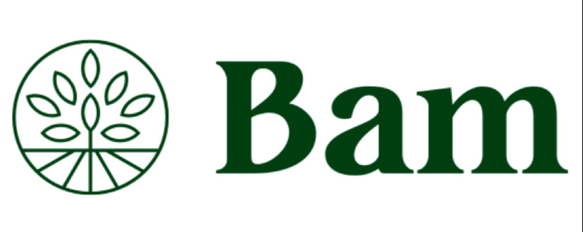 BAM